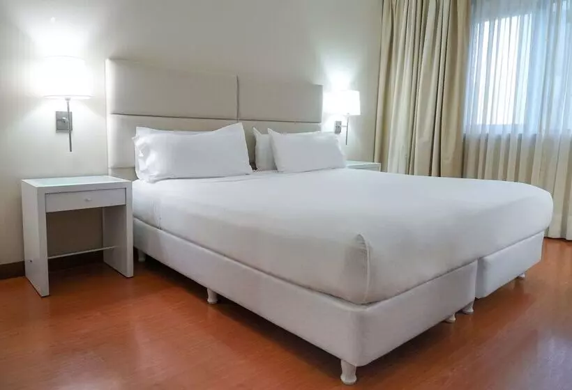 בית מלון כפרי NH Mendoza Cordillera