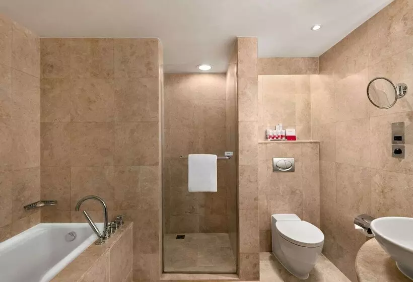 هتل Ramada Plaza By Wyndham Dubai Deira