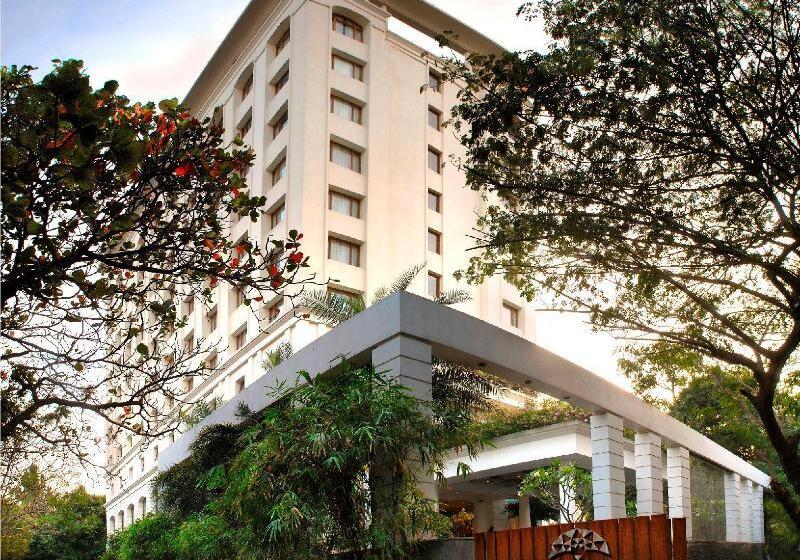 Отель The Raintree, St. Mary’s Road