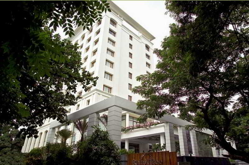 Отель The Raintree, St. Mary’s Road