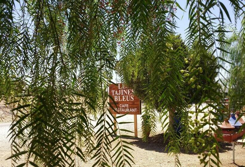فندق صغير Les Tajines Bleus