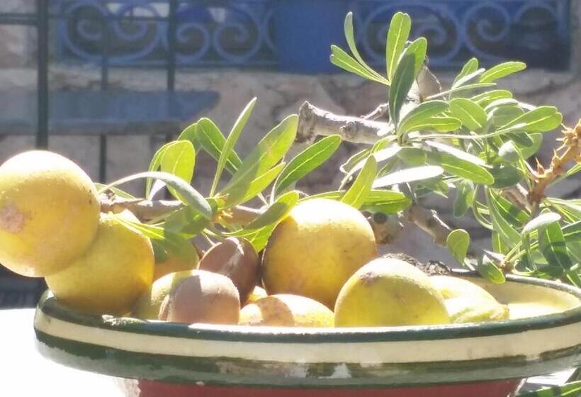 فندق صغير Les Tajines Bleus