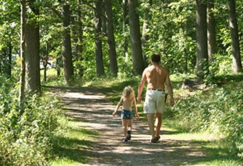 فندق صغير Stegeborgsgården