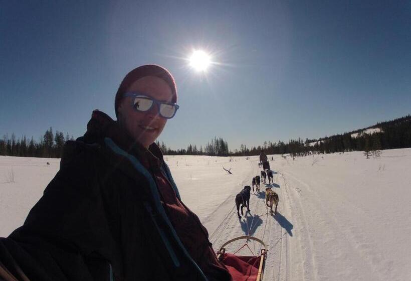 Beana Laponia Wilderness Boutique Hotel With Safaris