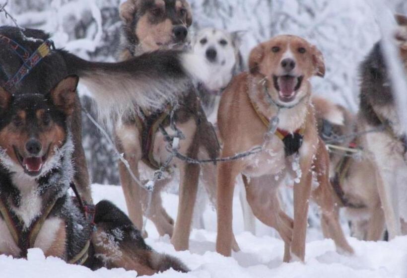 Beana Laponia Wilderness Boutique Hotel With Safaris