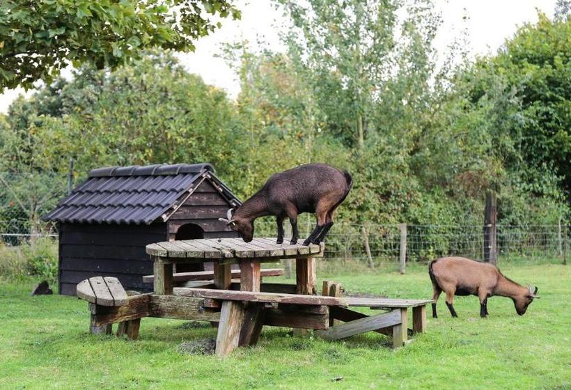 ベッドアンドブレックファースト De Rolders