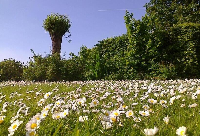 住宿加早餐  Holiday Cottage De Garage Inn