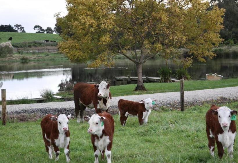 ベッドアンドブレックファースト Little Lake Cottage