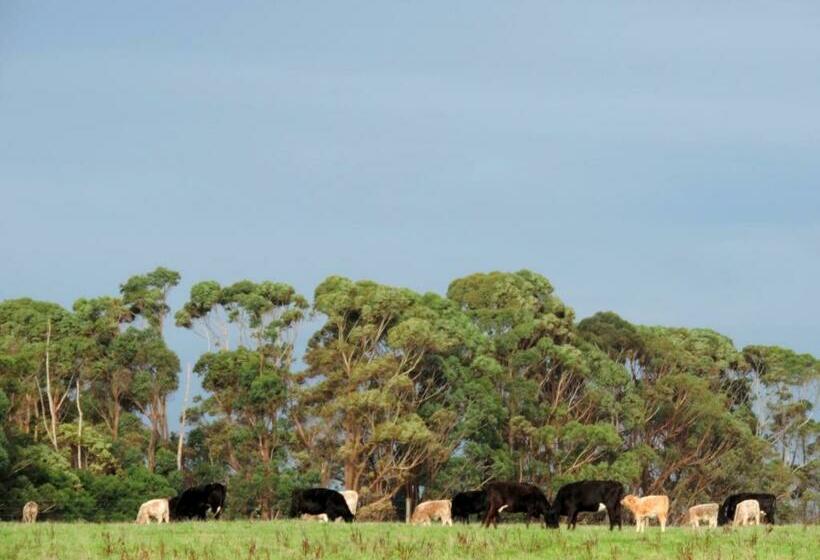 ベッドアンドブレックファースト Ruby Rose