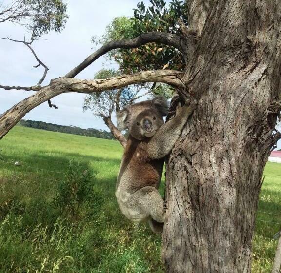 ベッドアンドブレックファースト Ruby Rose