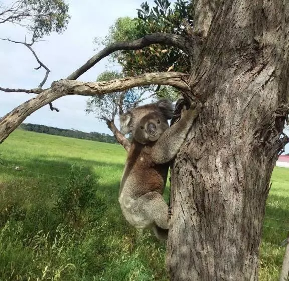 Bed and Breakfast Ruby Rose