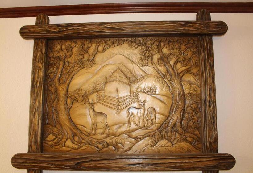 ホテル Gostyniy Dvir Synevir