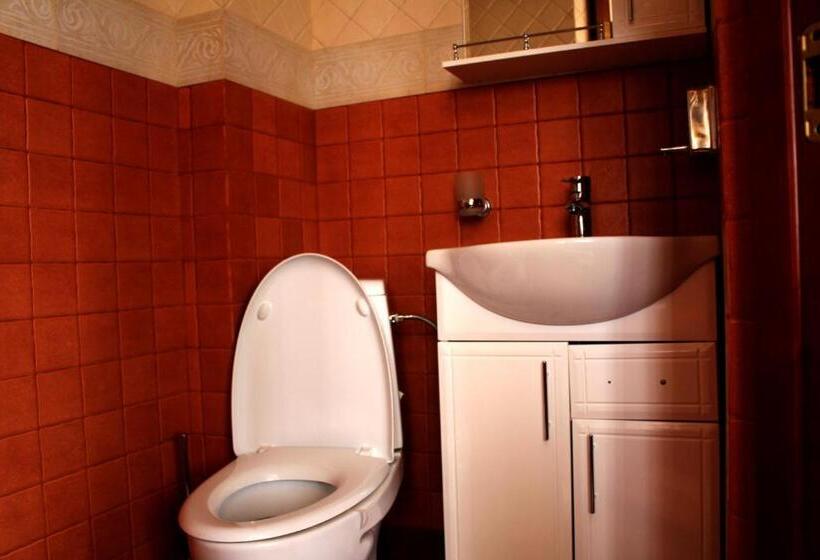 ホテル Gostyniy Dvir Synevir