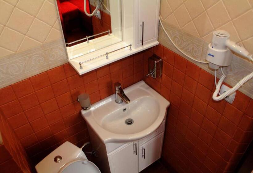 ホテル Gostyniy Dvir Synevir