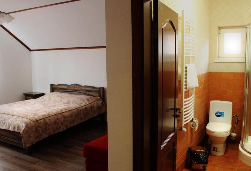 ホテル Gostyniy Dvir Synevir