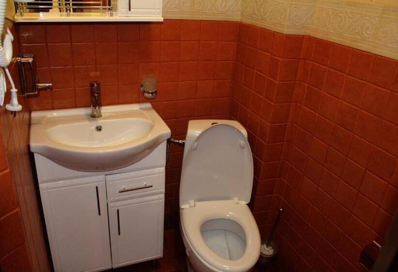 ホテル Gostyniy Dvir Synevir