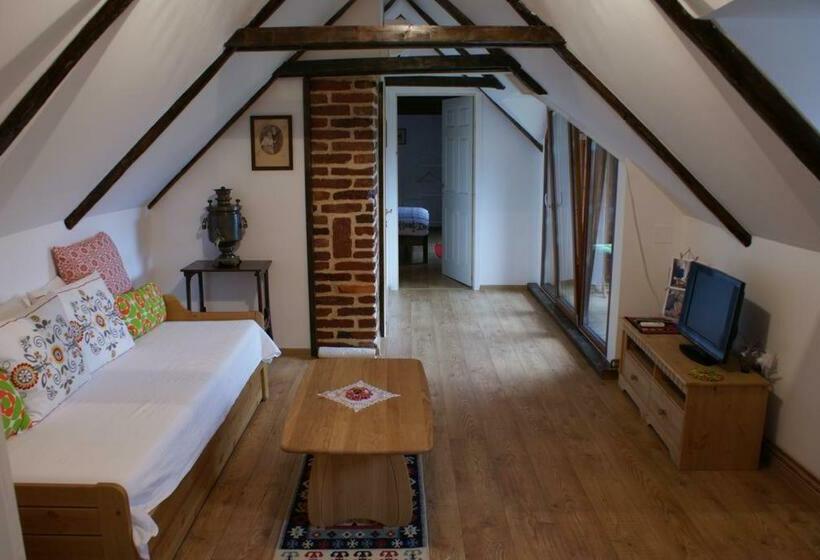 ペンション Casa Porumbacu 295