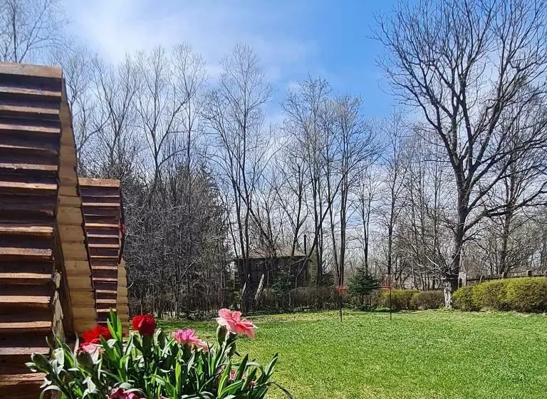 Majatalo Casa Porumbacu 295