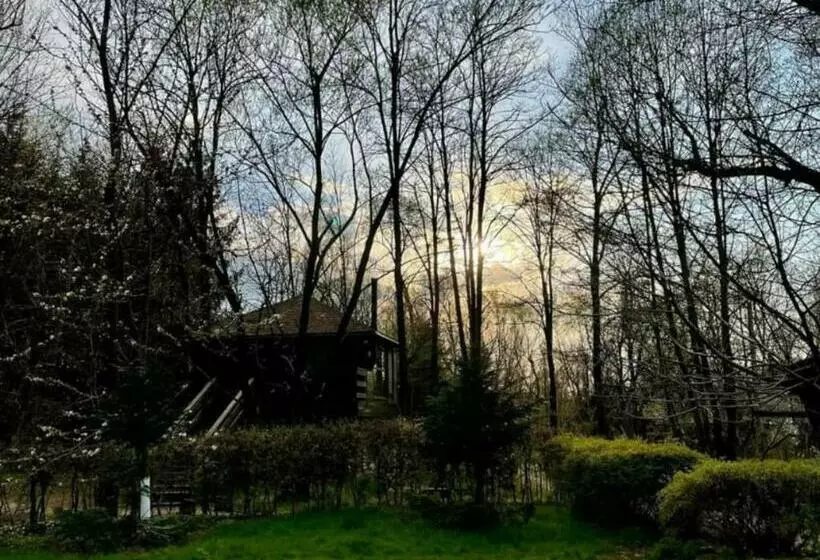 Majatalo Casa Porumbacu 295