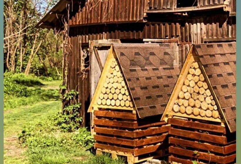 ペンション Casa Porumbacu 295