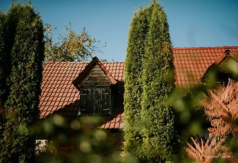 Majatalo Casa Porumbacu 295