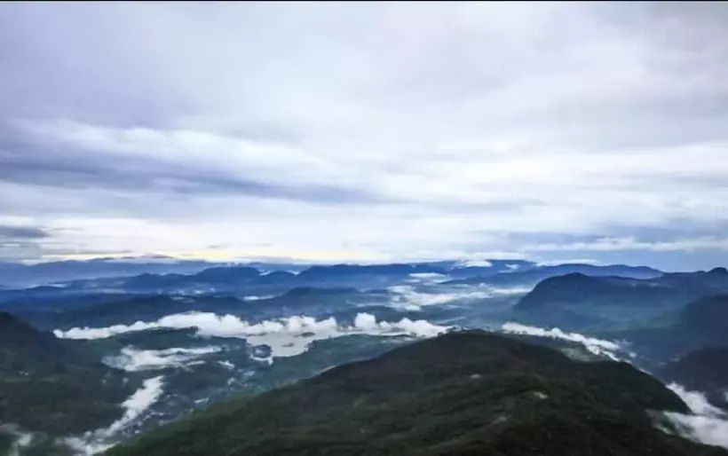 Majatalo Clovefield Villa