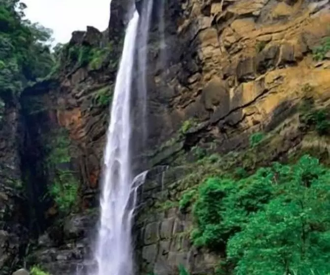 Majatalo Clovefield Villa