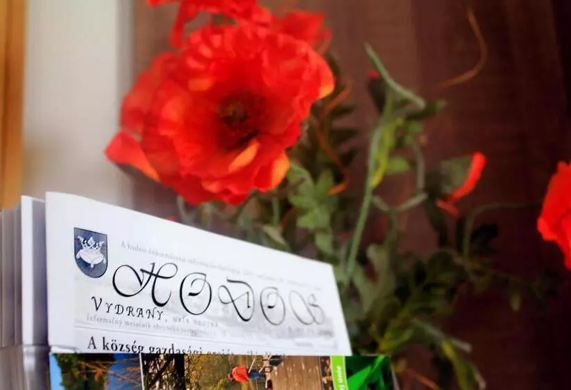 Majatalo Guest House Hodus