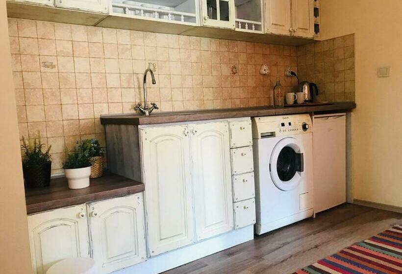 ペンション Kutsinska House