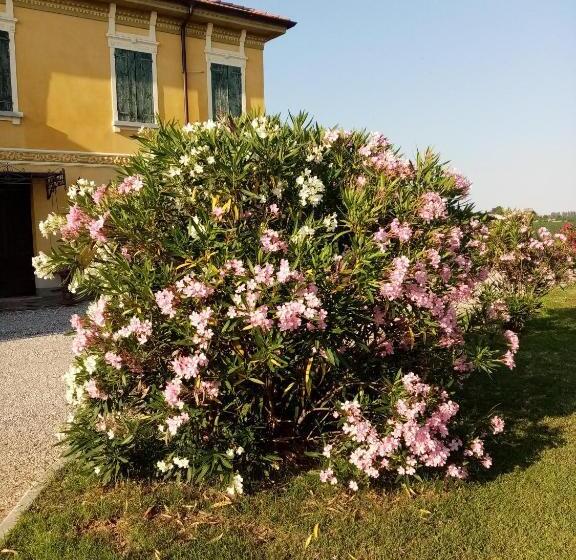 פנסיון Mu & Mu