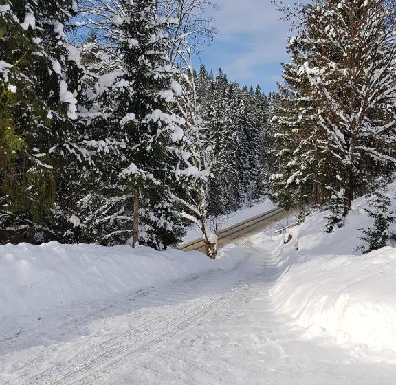 بنسيون Na Gorbochku