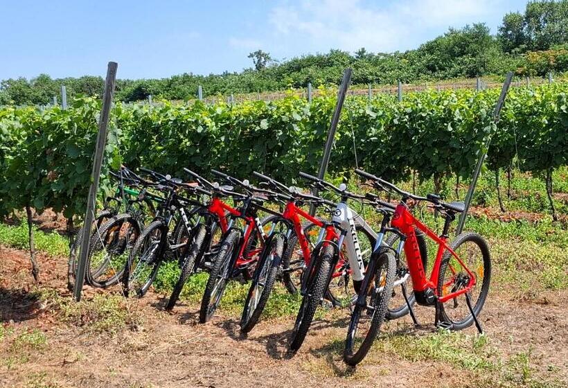 פנסיון Penzión Vínny Dom