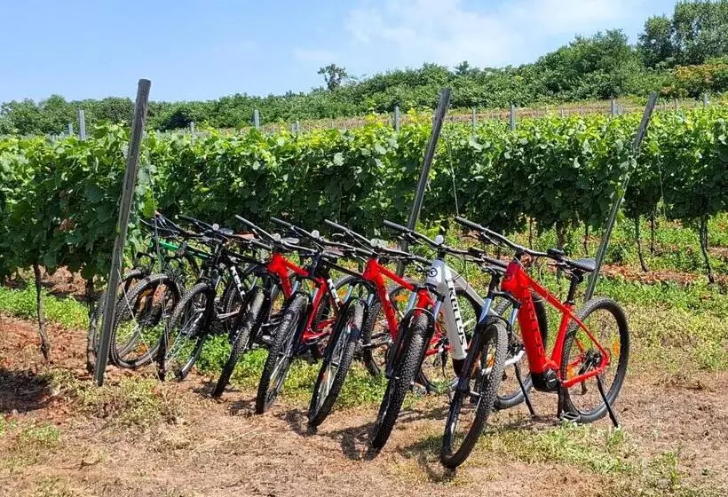 Majatalo Penzión Vínny Dom