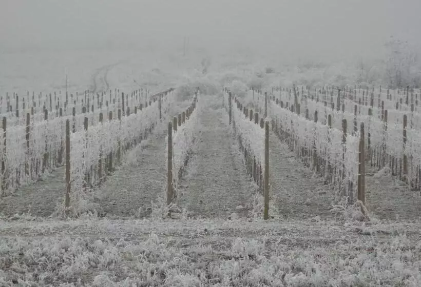 Majatalo Penzión Vínny Dom