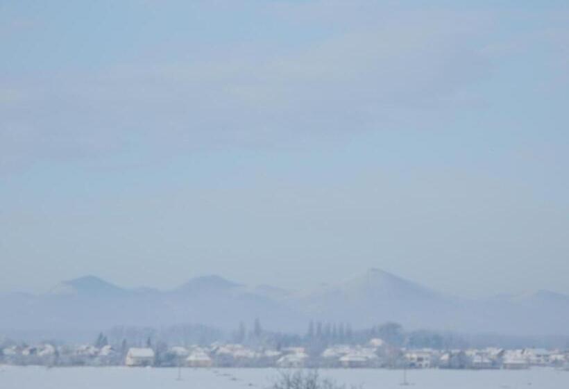 פנסיון Penzión Vínny Dom