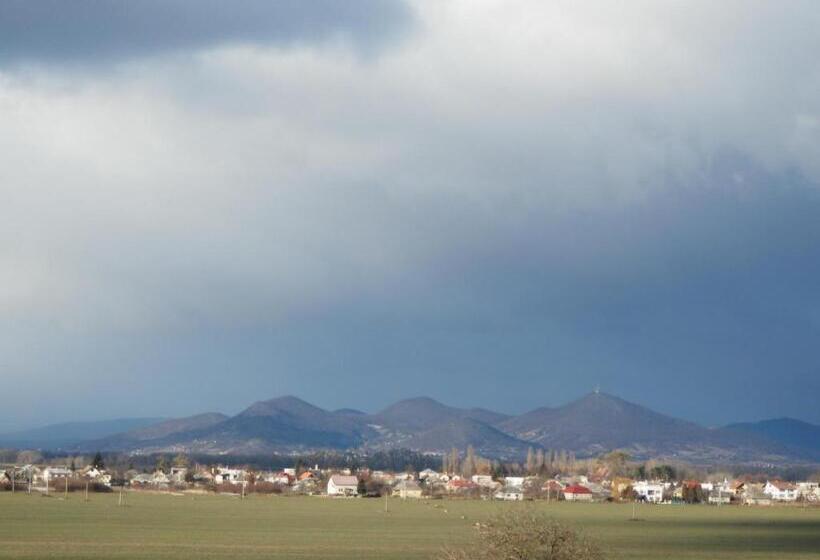 פנסיון Penzión Vínny Dom