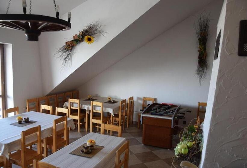 פנסיון Penzión Vínny Dom