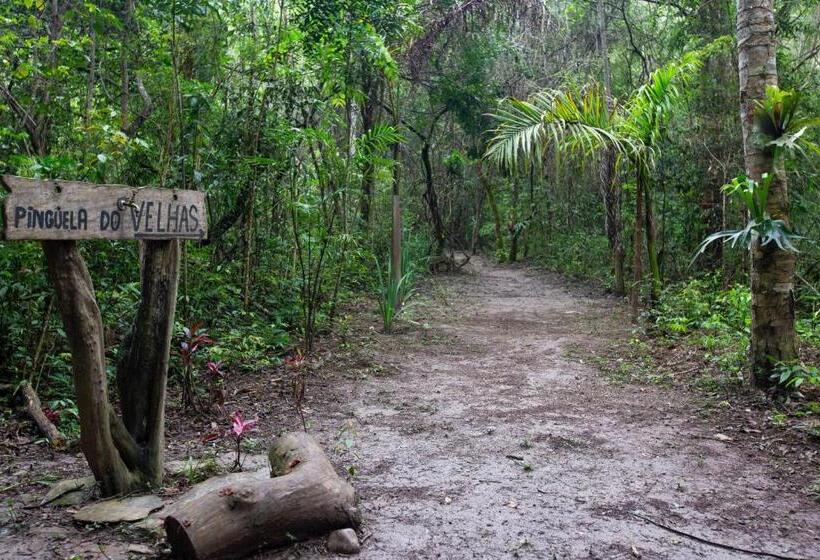 פנסיון Ecopousada Serra Verde