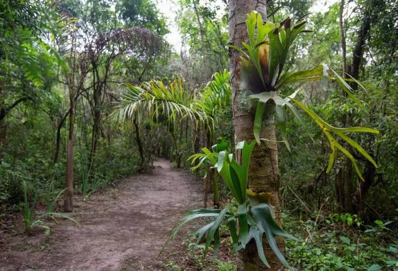 Majatalo Ecopousada Serra Verde