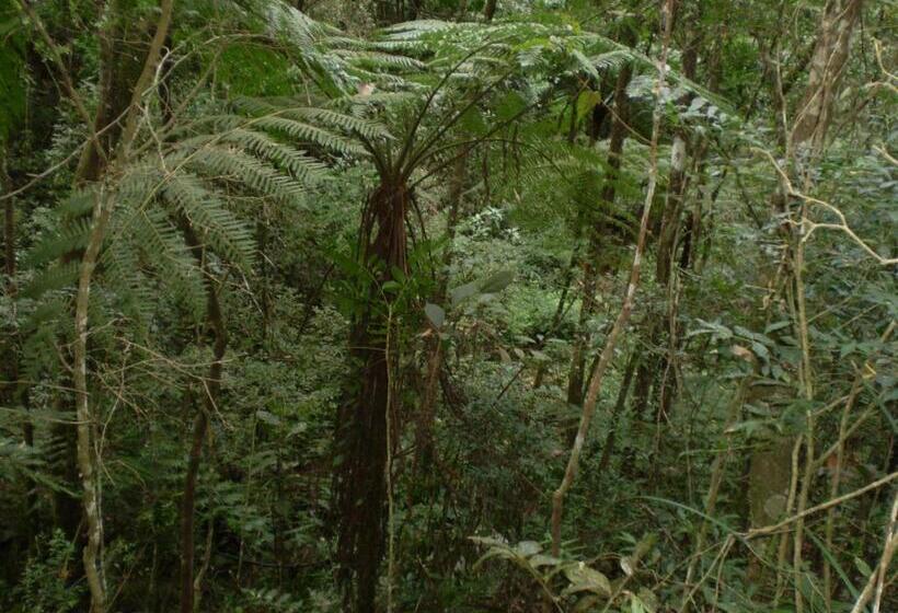פנסיון Ecopousada Serra Verde