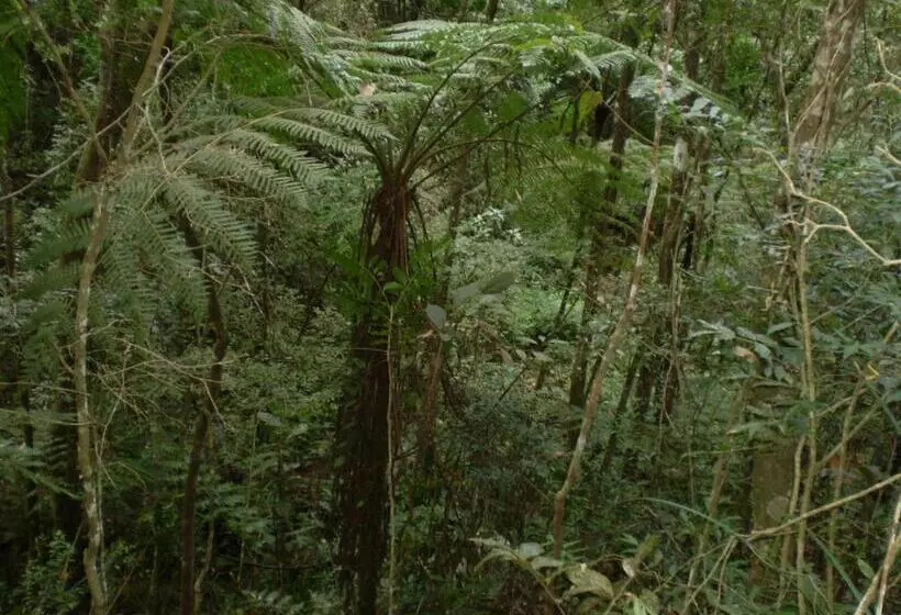 Majatalo Ecopousada Serra Verde
