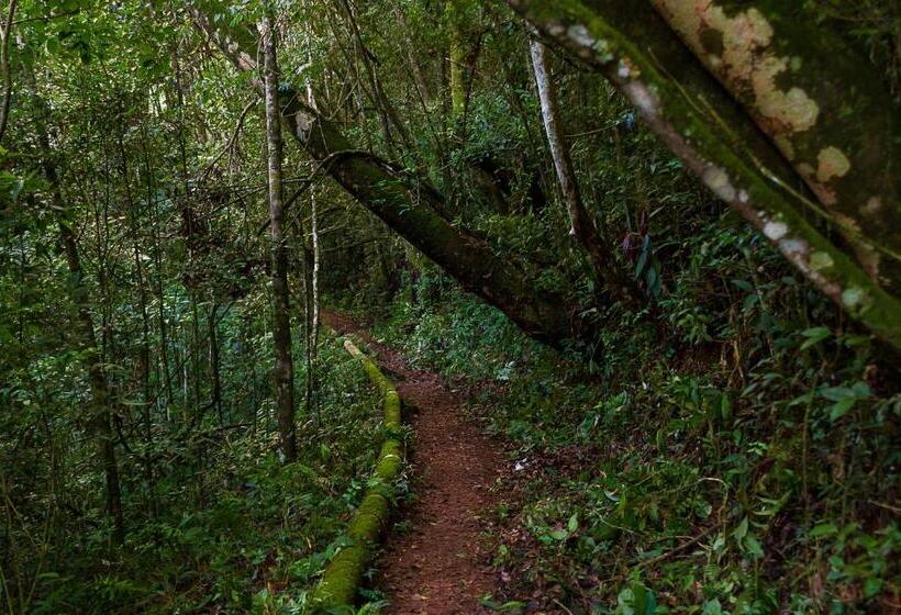 פנסיון Ecopousada Serra Verde