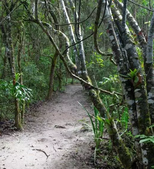 Majatalo Ecopousada Serra Verde