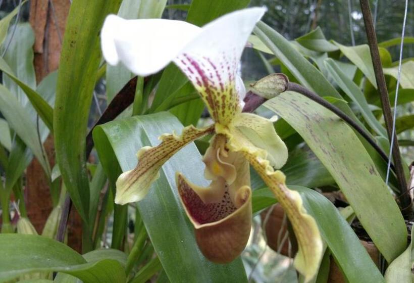 פנסיון Ecopousada Serra Verde