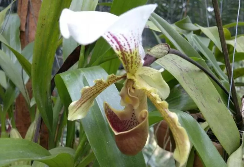 Majatalo Ecopousada Serra Verde