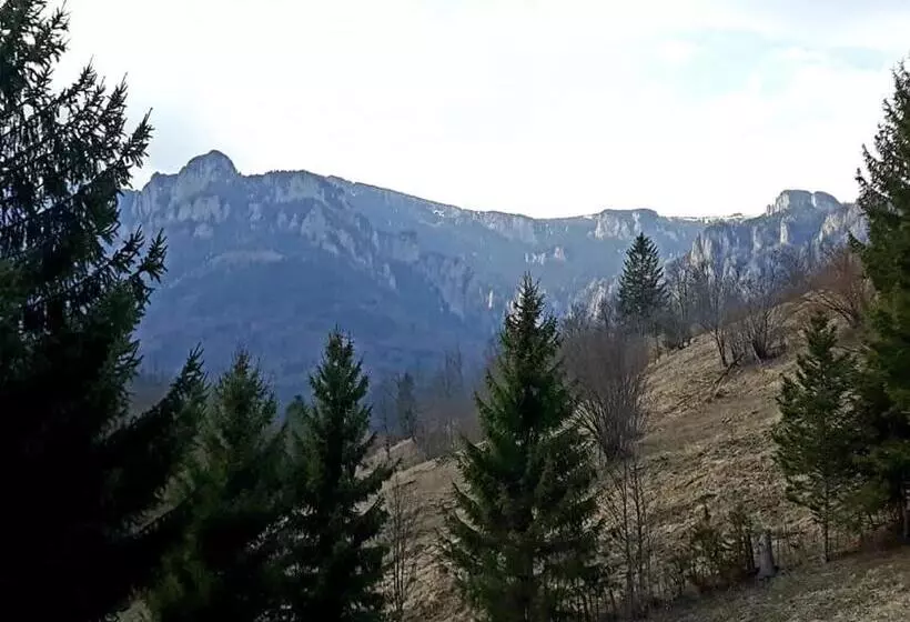 Pensiunea Bobu