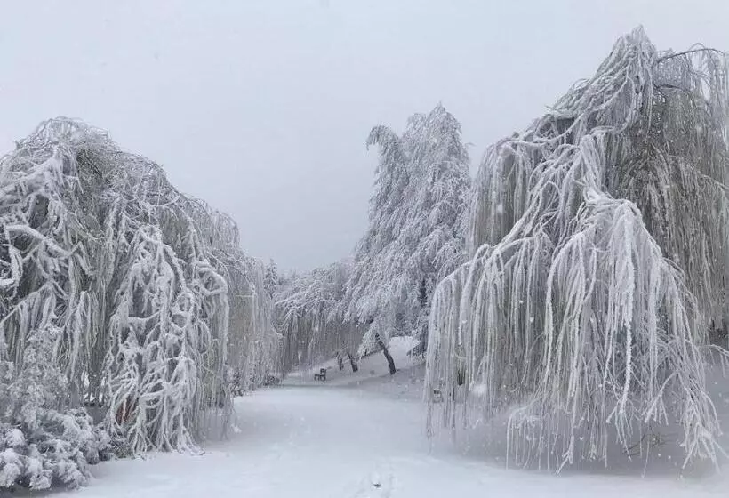 Lomakeskus Complex Turistic Comoara Bucovinei