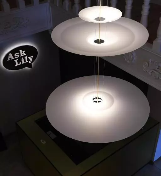 Aamiaismajoitus (B&B) Ask Lily