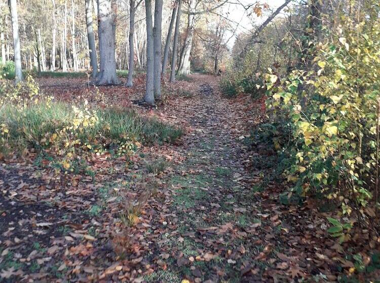 Bed and Breakfast Lindehof