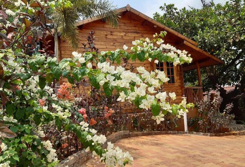 Cozywoods Hill Resort